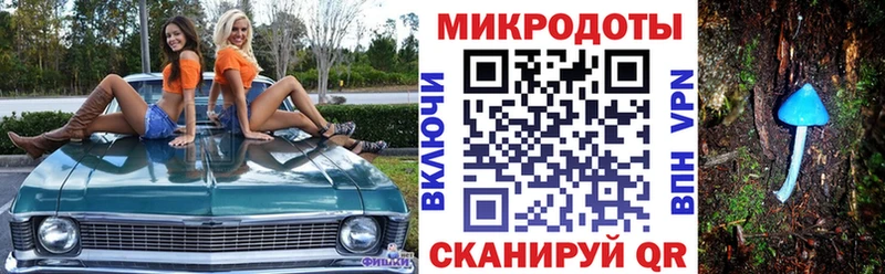 Псилоцибиновые грибы Psilocybe  KRAKEN сайт  Дубна  сколько стоит 