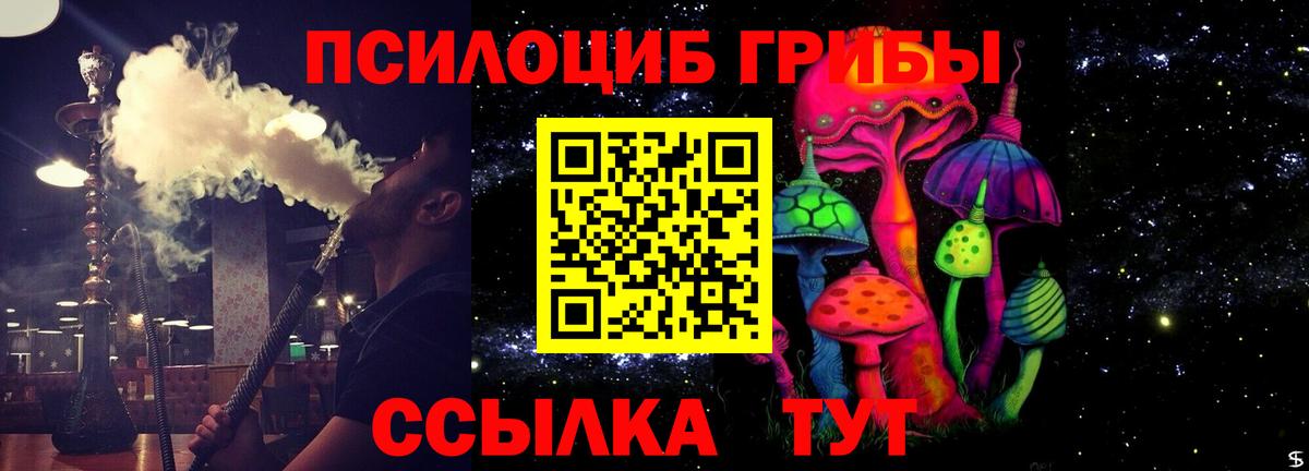 Галлюциногенные грибы Cubensis  Вход с VPN  Дубна  Псилоцибиновые грибы Psilocybine cubensis 